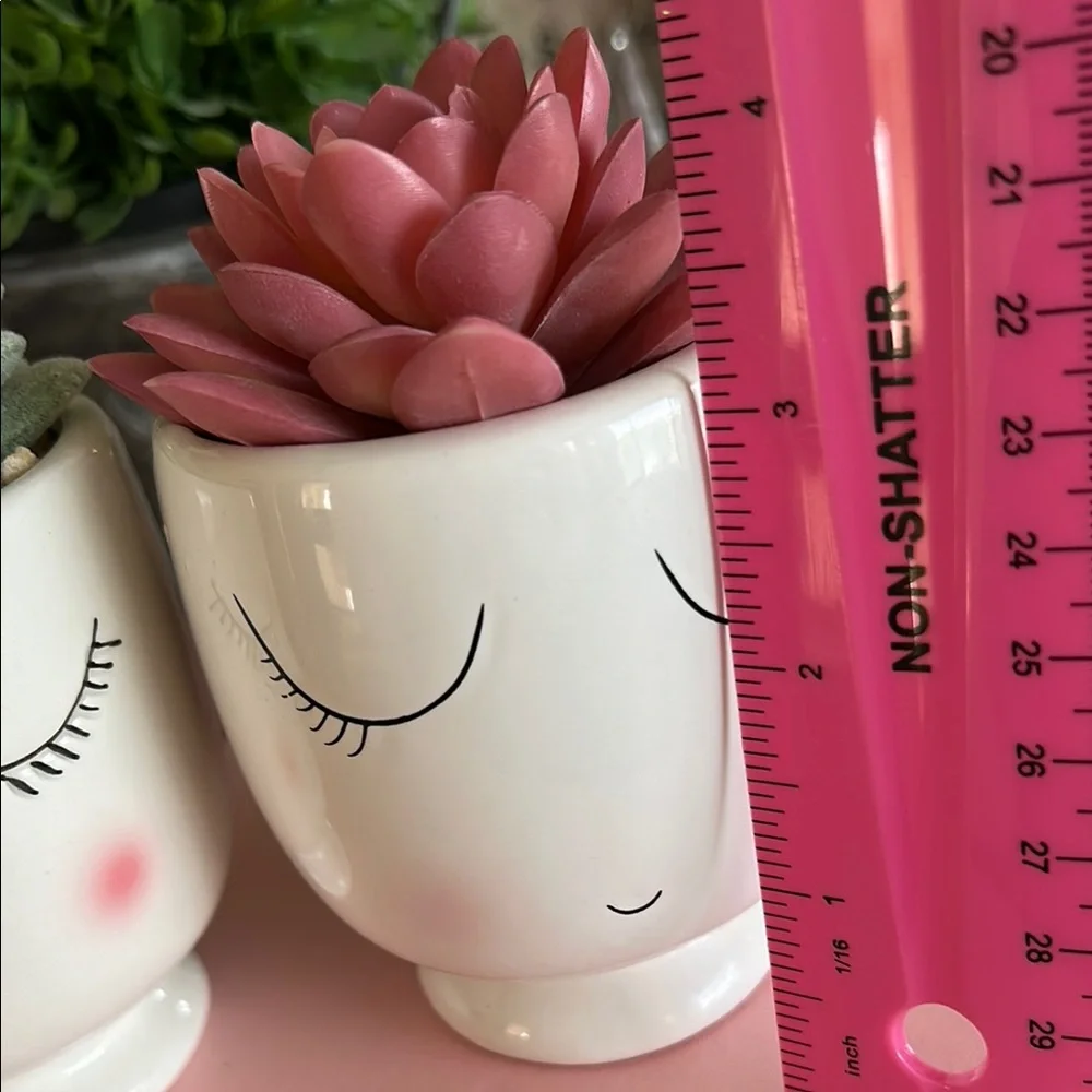 Feminine Face Planters with faux Succulents in pink and green set of two